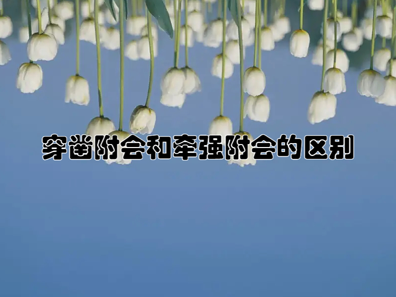 "牵强附会"意思是:把没有某种意义的事物硬说成有,也指把不相关联的
