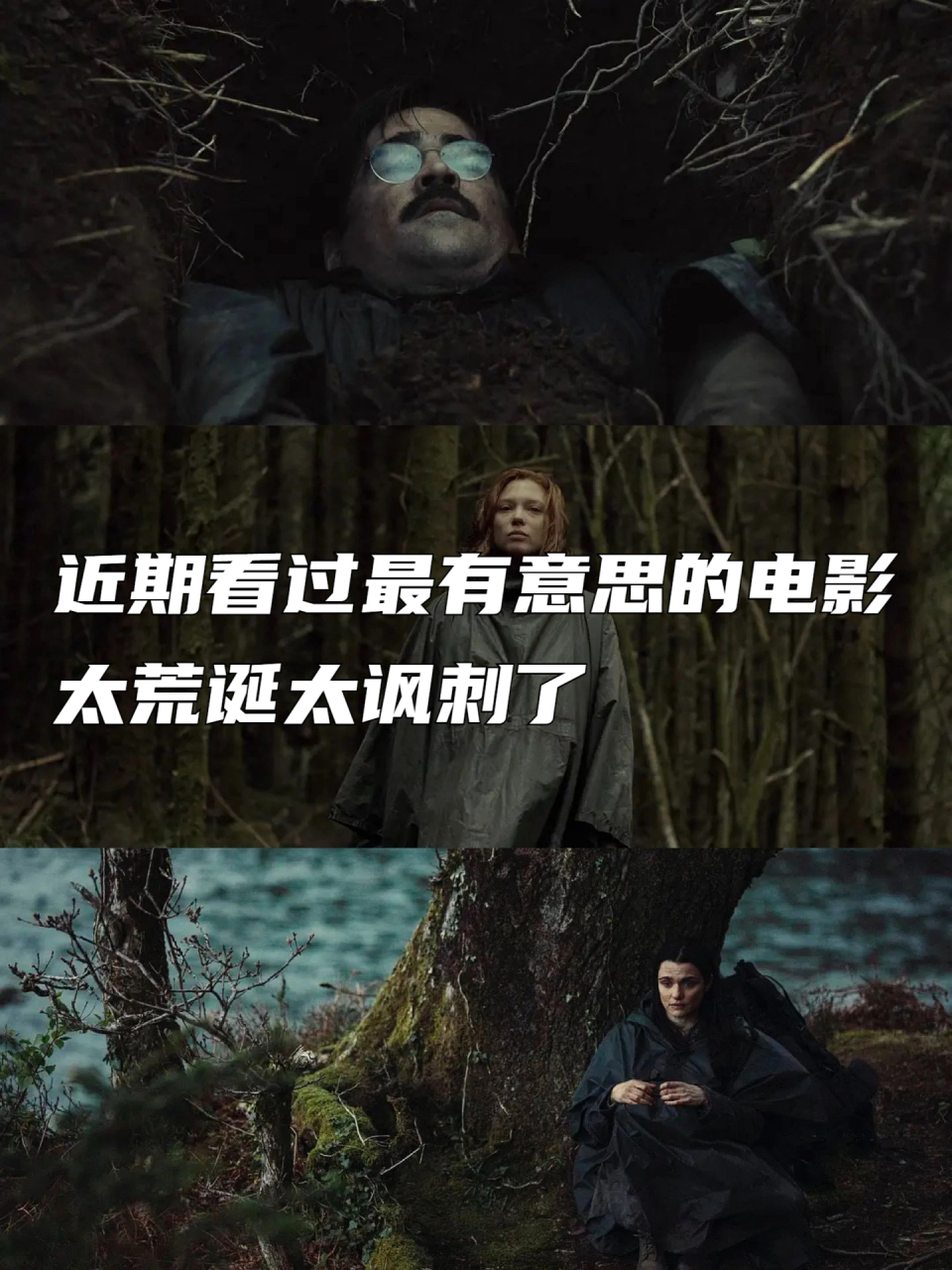 近期看过最有意思的电影,太荒诞太讽刺了  片名:《龙虾》 剧情简介