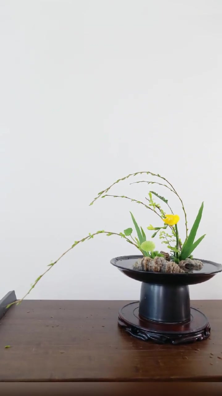 用嫩柳条来插花东方插花