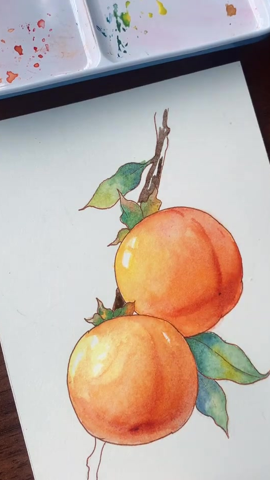 水彩教程,水果柿子怎么画