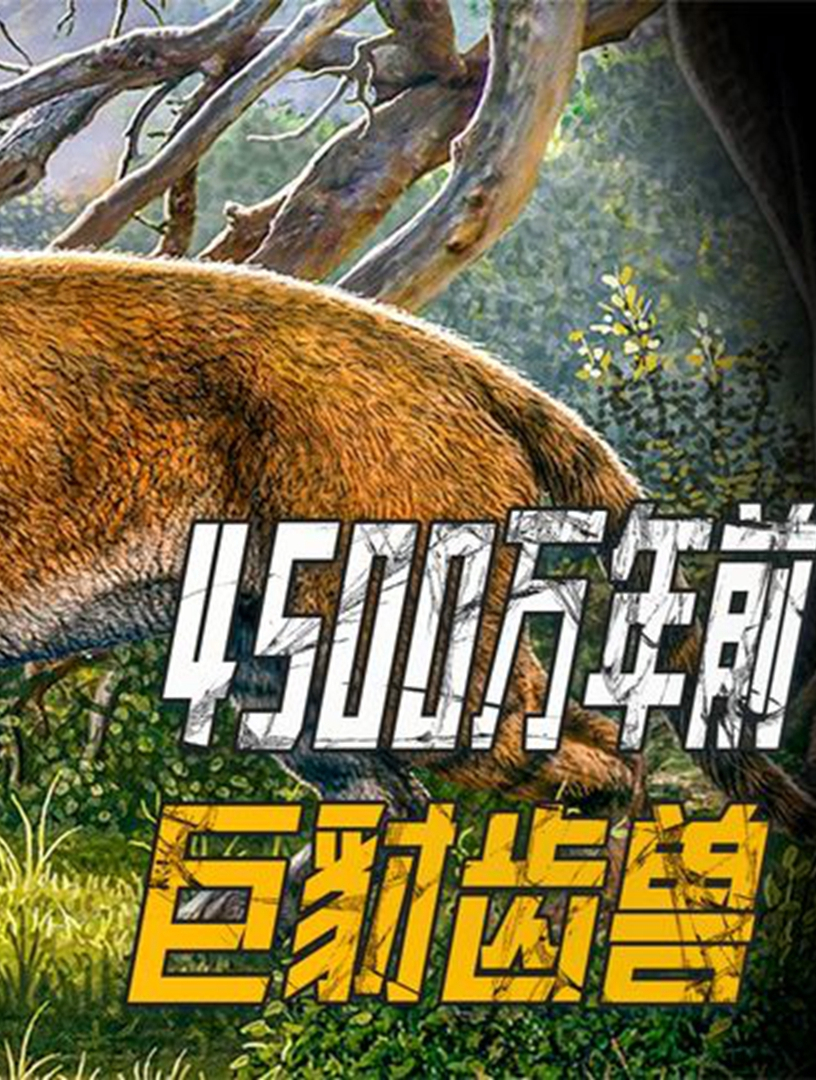 4500万年前的巨豺齿兽,陆地上的凶猛恶霸,专以巨型犀牛为食