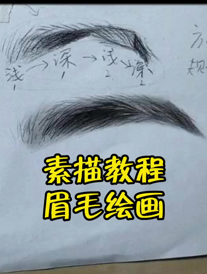 素描人像—眉毛