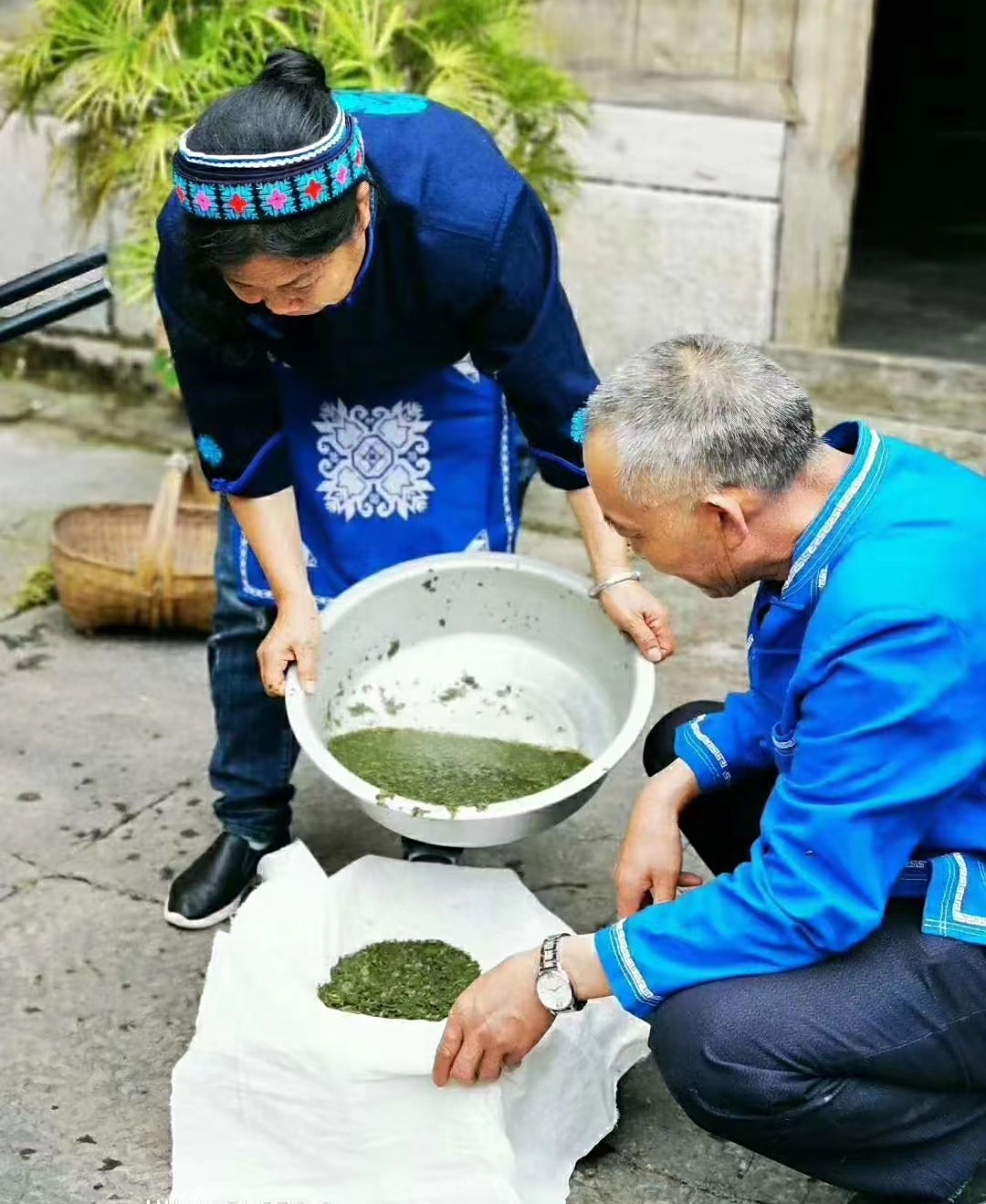 走进乌米饭非遗传承者家中——品乌米粽