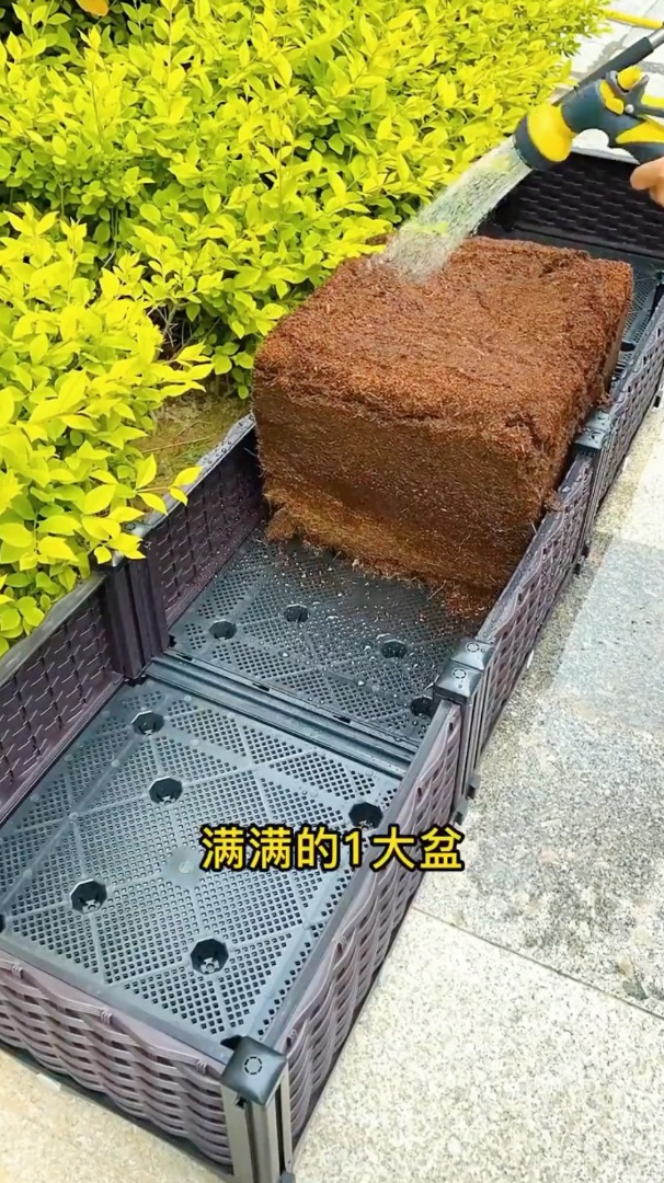 椰砖种菜保水又保肥,城里人种花种菜都用它,省肥省土!-度小视