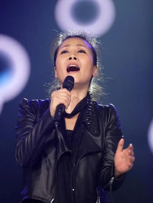 田震揭奖项黑幕与那英交恶,《风雨彩虹,铿锵玫瑰》造就时代神话-度小