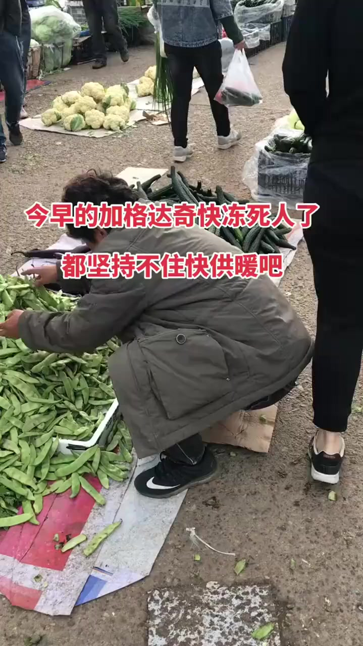 冻死在冬天里理所当然,冻死在夏天里,我是真的心有不甘!