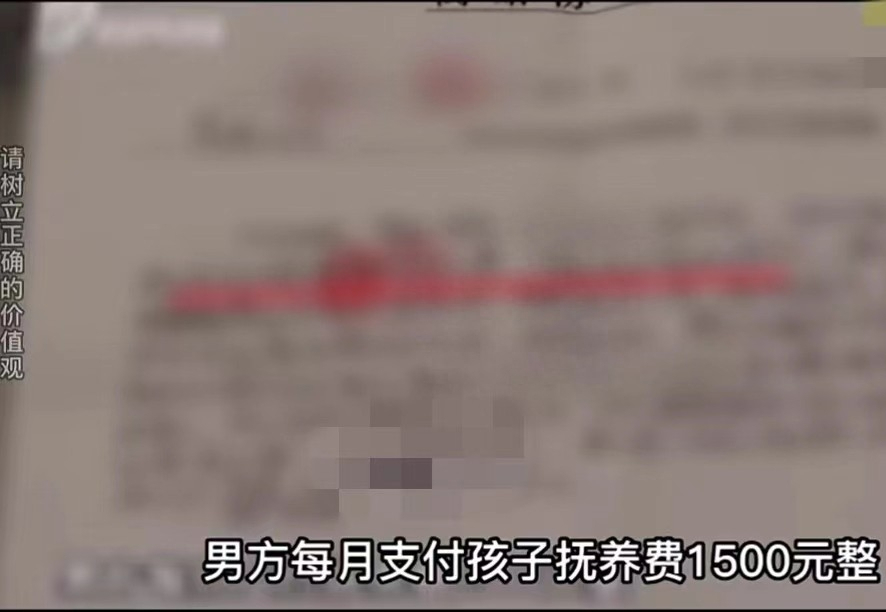 回顾12年：改嫁女子给儿子改姓，花光积蓄找前夫要抚养费，公婆：凭啥