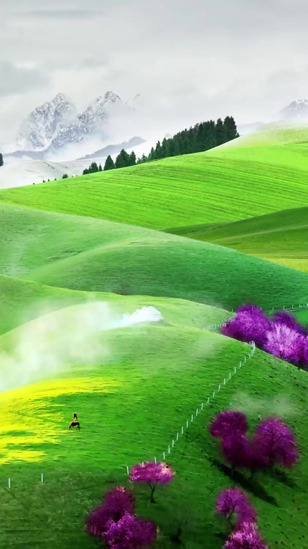 幸生华夏,祖国美景,尽收眼底.美丽的那拉提草原!