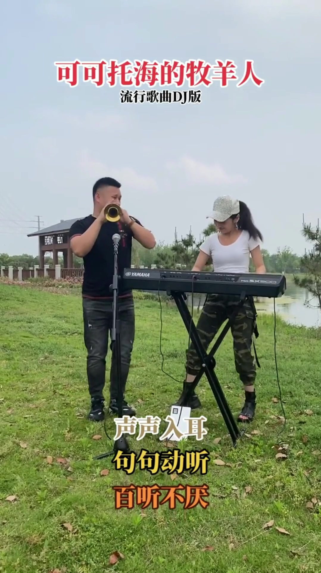 鹏仔唢呐劲爆歌曲可可托海牧羊人dj