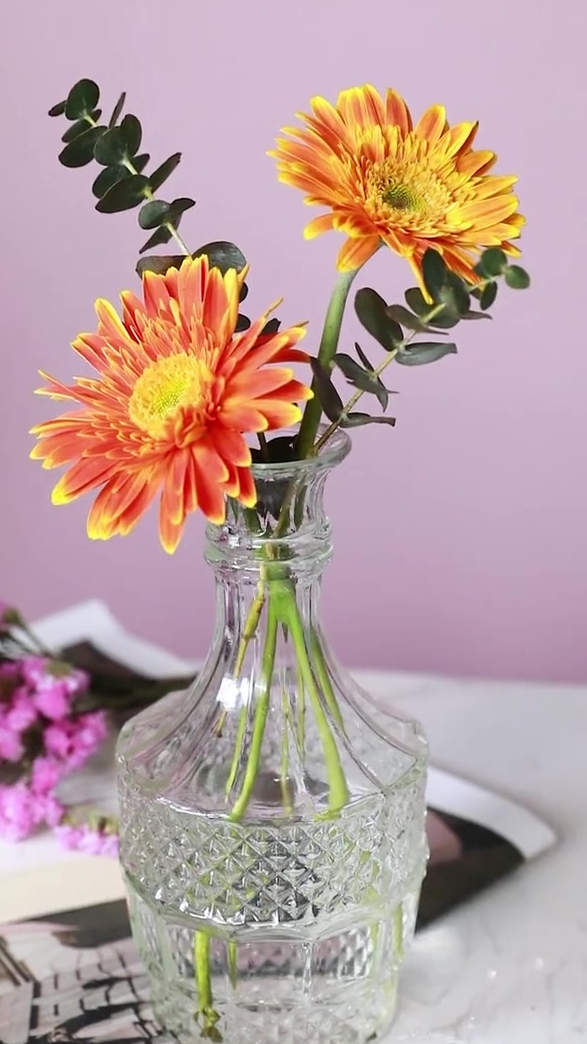 简单又好看的瓶插花快来试试吧