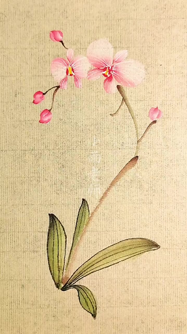 画朵蝴蝶兰过新年你好2022国画教程-度小视