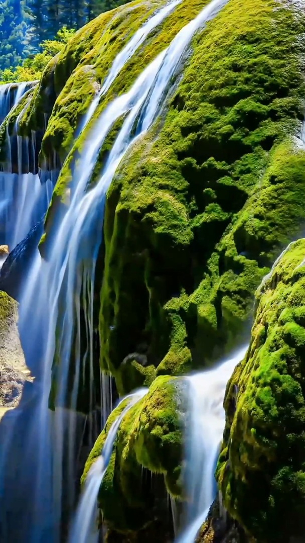 风景自然欣赏:已经开始期待夏天了风景旅行大自然