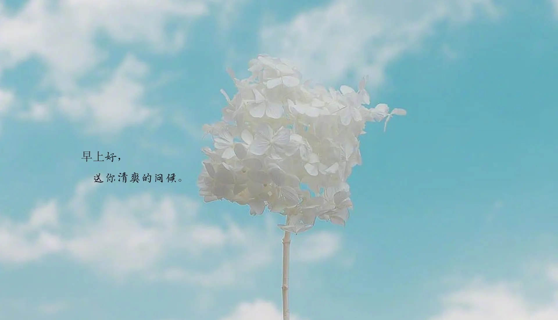 读了4遍《百年孤独》,我发现书中这10句话,能让人越来越清醒