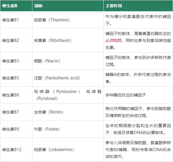 2023年维生素b族知识大全(1)维生素b1