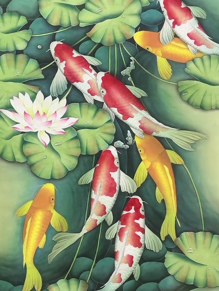 夏天的季节,荷花绽放的光芒,鱼儿水中游