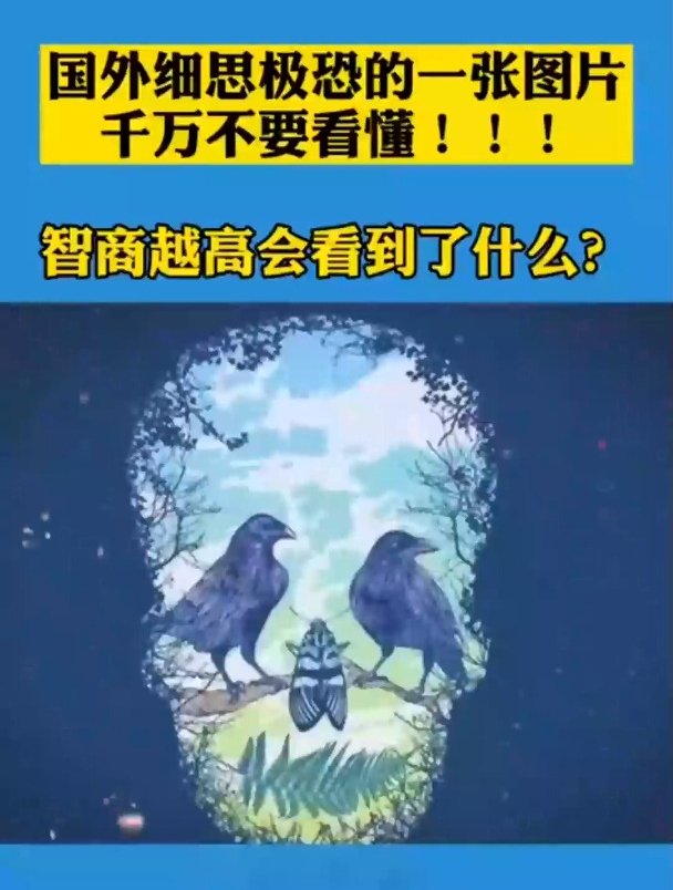 国外细思极恐的一张图片,智商高的才能看懂,测测你的智商!