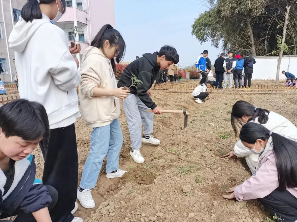 春耕正當時,勞動最快樂——搬罾初級中學開展勞動實踐活動