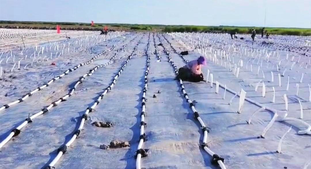 「软基处理工程」浅层真空预压法施工方案