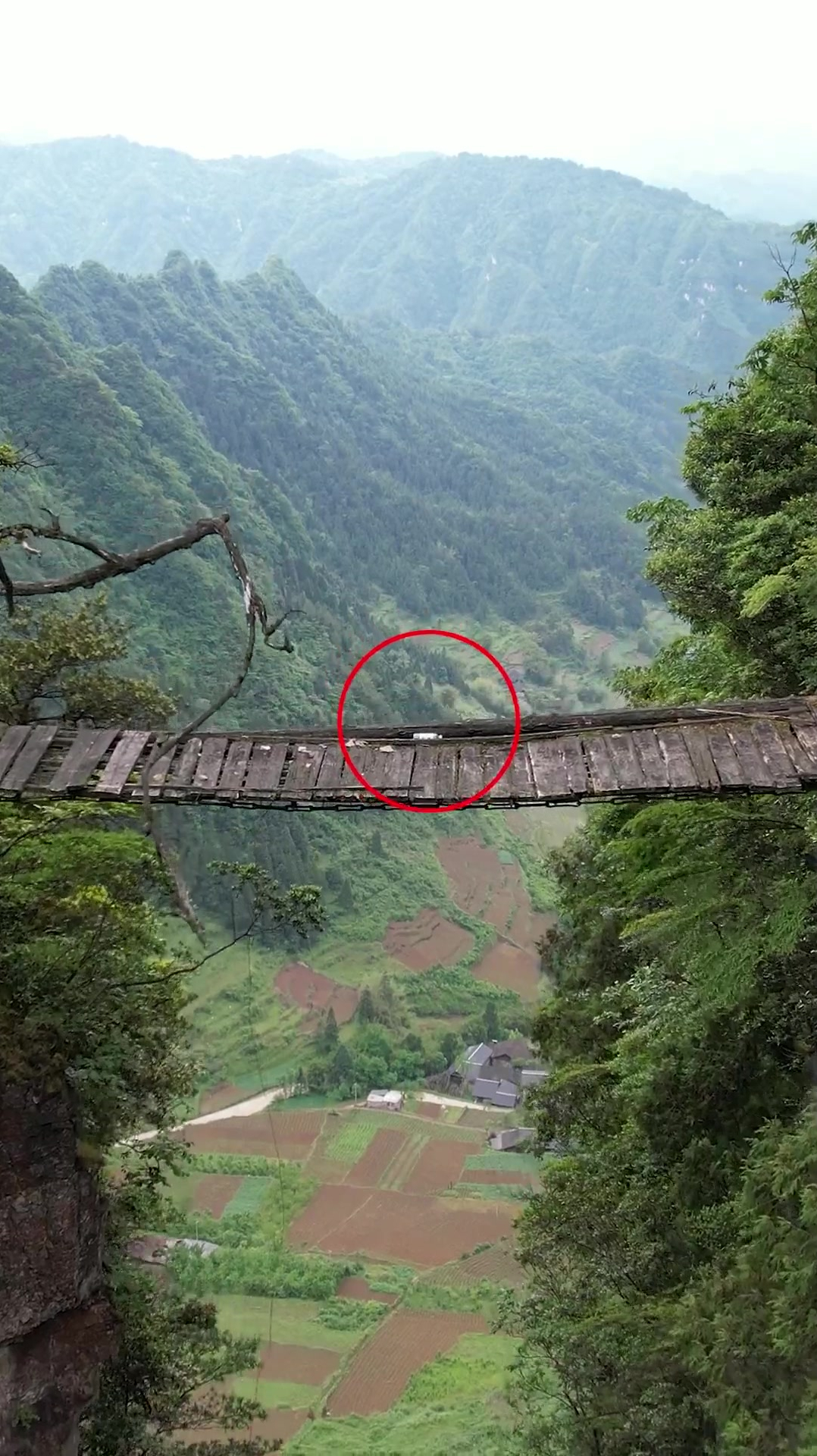 贵州深山独木桥图片