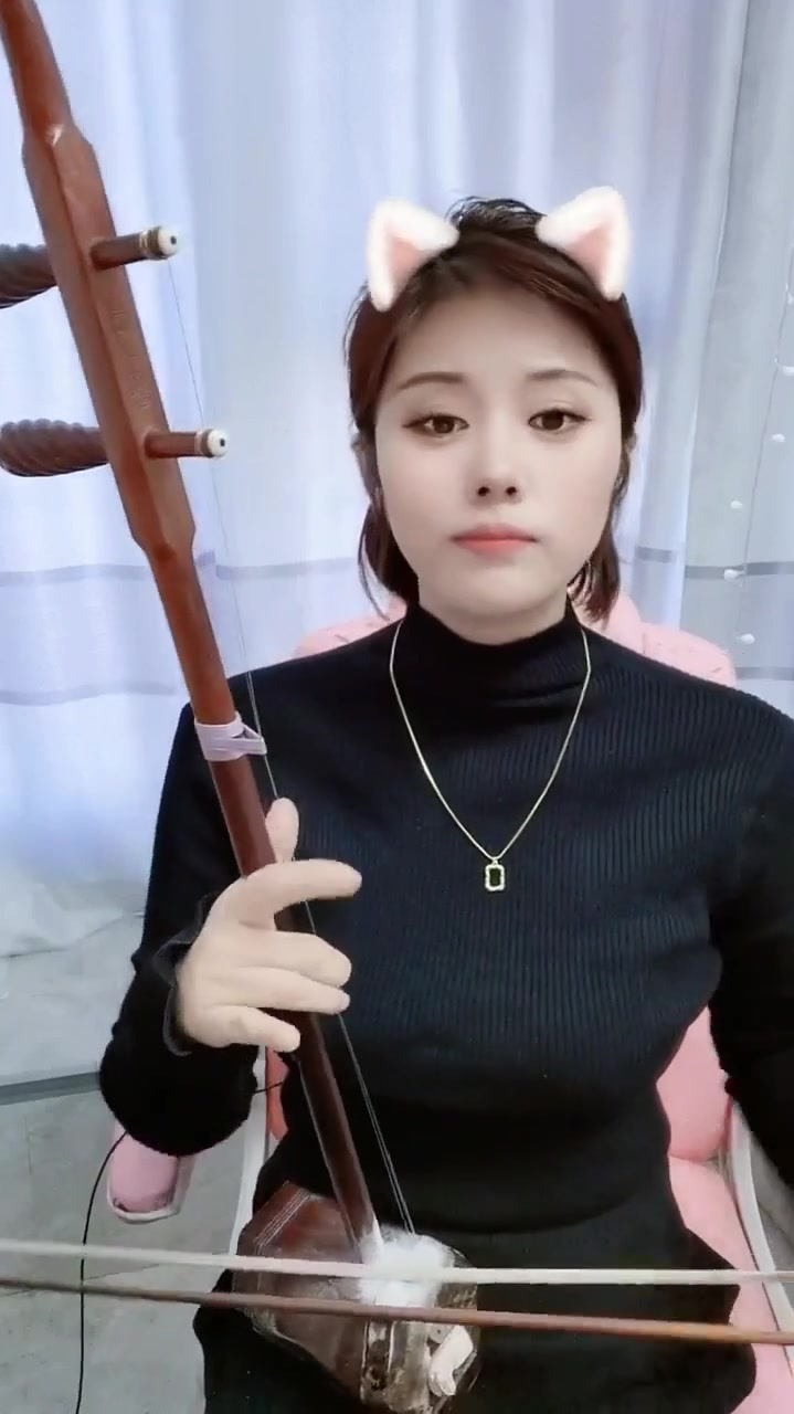 二胡演奏《泪蛋蛋掉在酒杯杯里》-度小视
