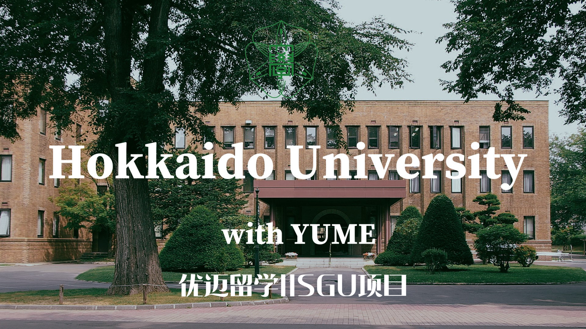 本科升学|北海道大学本科sgu学部项目(现代日语研究mjsp项目)