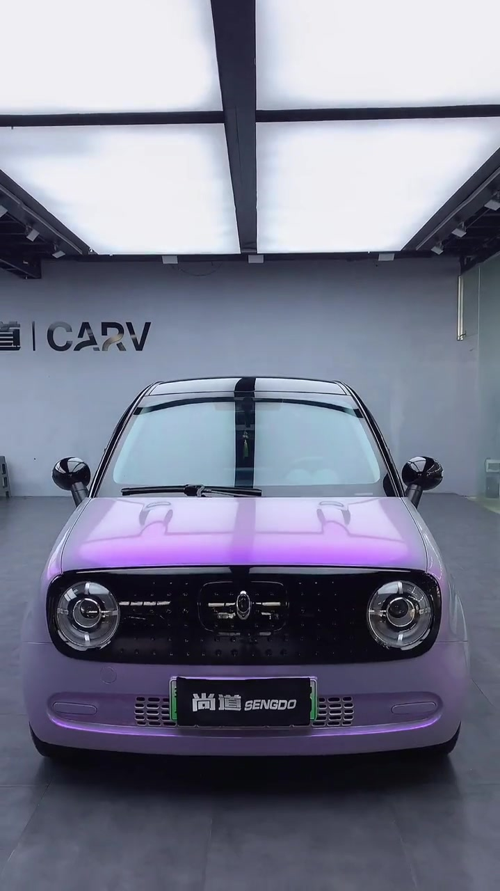 欧拉黑猫改色后太炫酷了