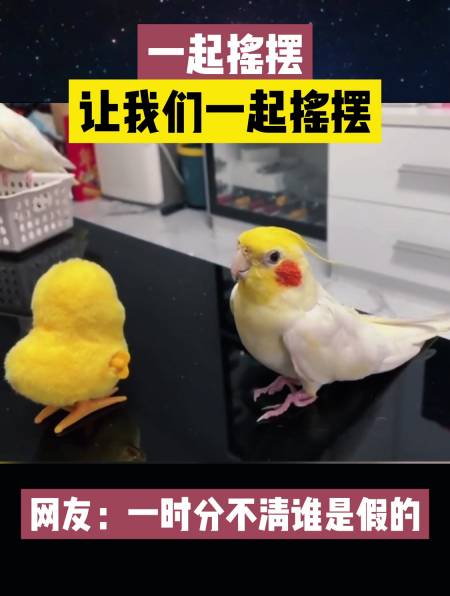 一时分不清谁真谁假了