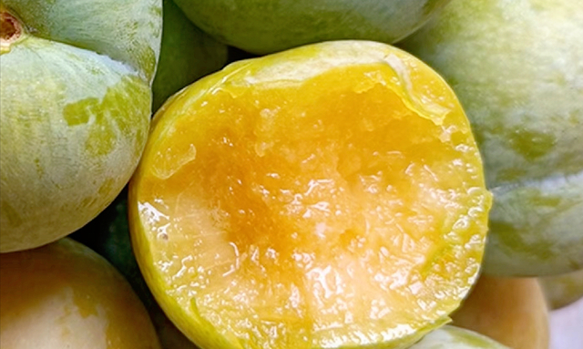 贵州高价水果上市,今年不低于45元一斤,镇宁蜂糖李凭什么?