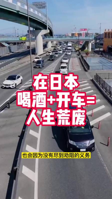 在日本喝酒开车那就是人生没有了-度小视