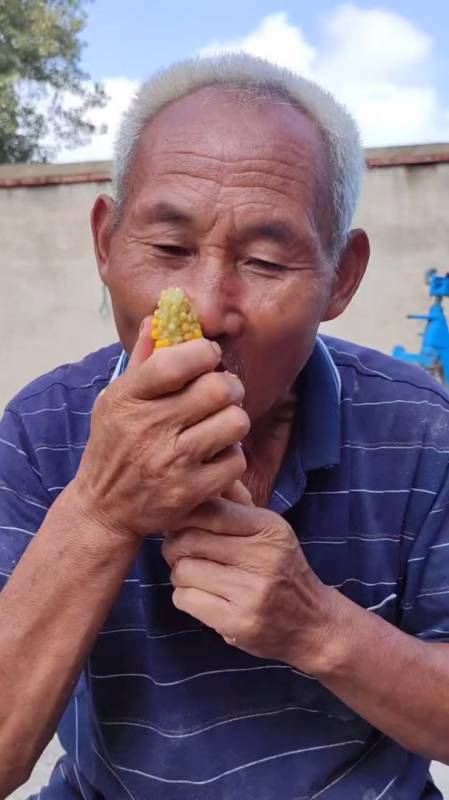 这个糟老头子坏的很,一辈子也不吃玉米了-度小视