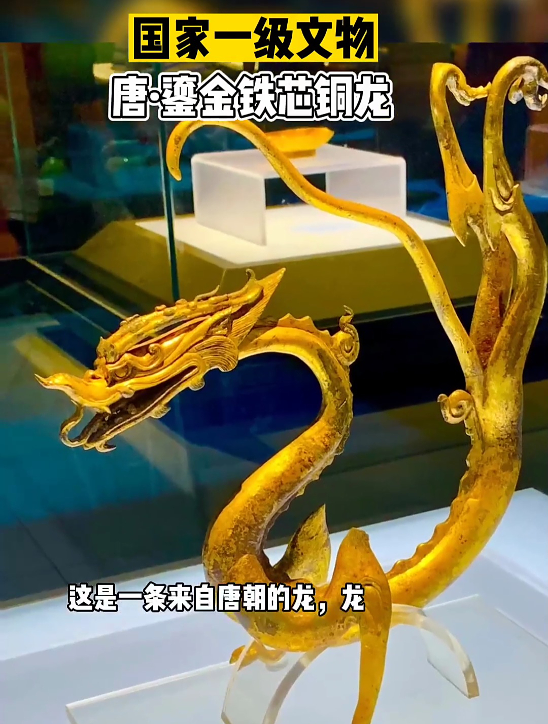 唐鎏金铁芯铜龙 它是国家一级文物!