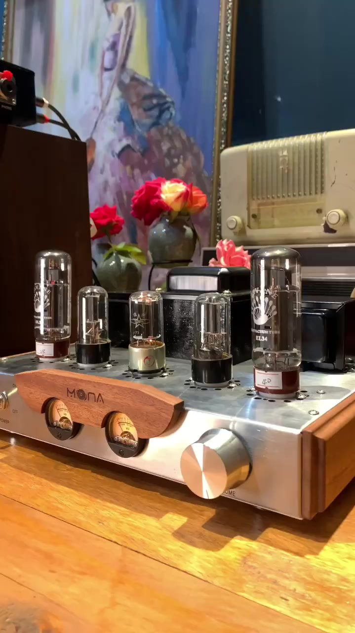 推荐超值又动感的声音魔娜胆机美声音箱