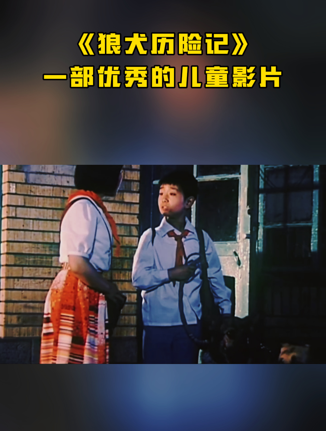 《狼犬历险记》一部优秀的儿童影片02