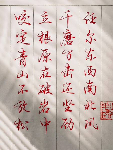 行楷连笔字"咬定青山不放松,立根原在破岩中"-度小视