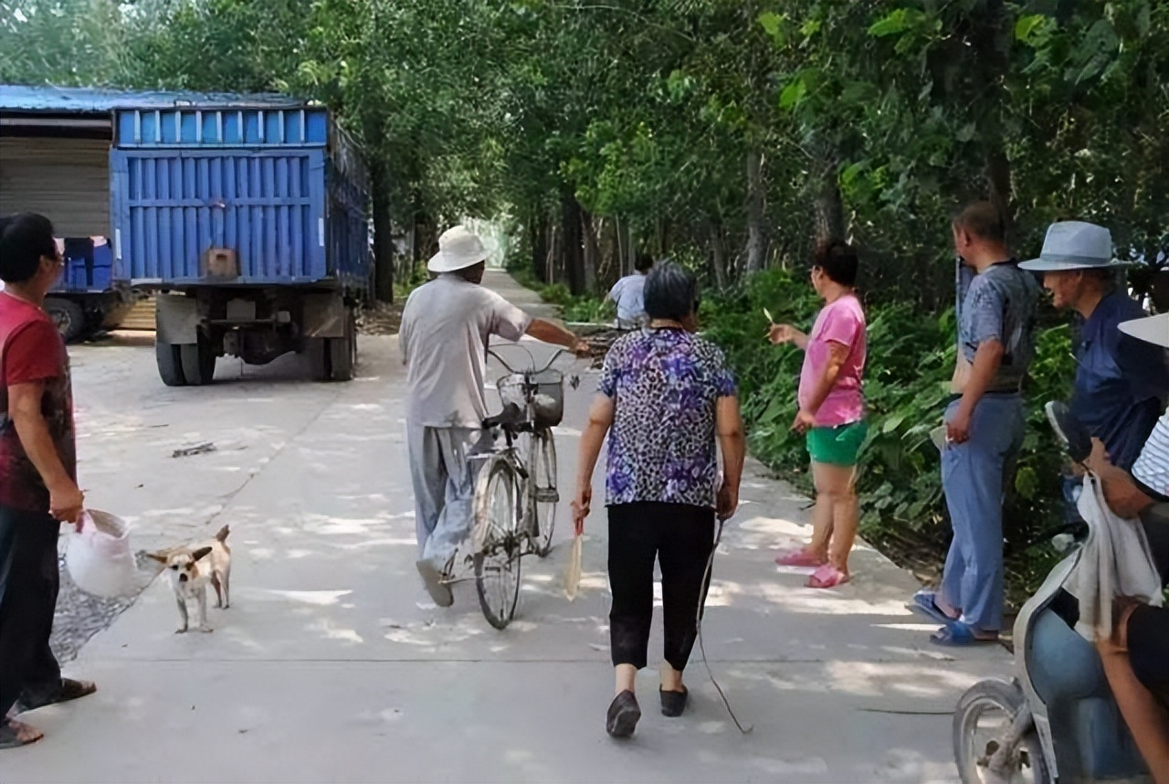 廣東村霸陳金朝:出租車壓死一隻雞,卻遭他索賠180萬,結局如何