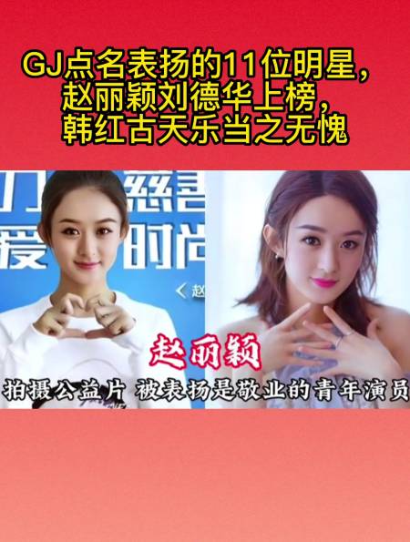 gj点名表扬的11位明星,赵丽颖刘德华上榜,韩红古天乐当之无愧-度小视