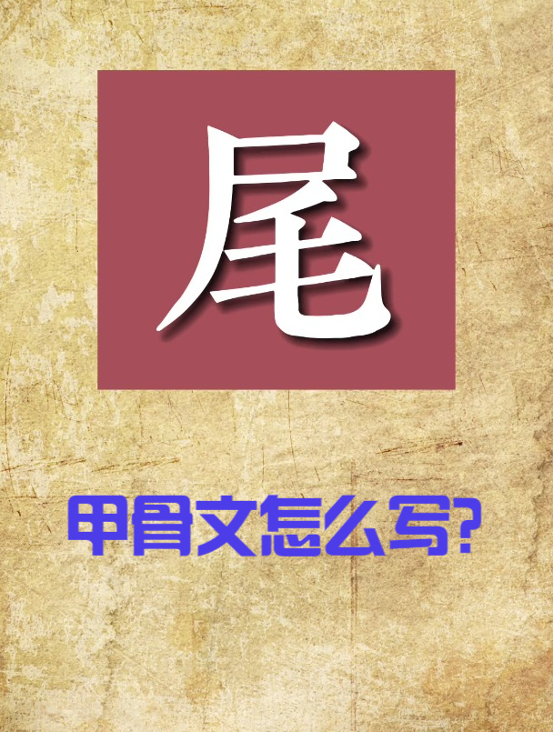 甲骨文尾巴的尾字讲解