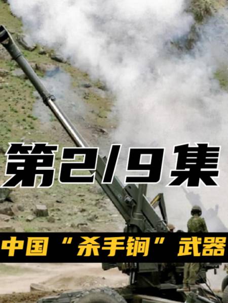 中国"杀手锏"武器,各国抢着买,巴铁曾用它将印度打败(29)-度小视