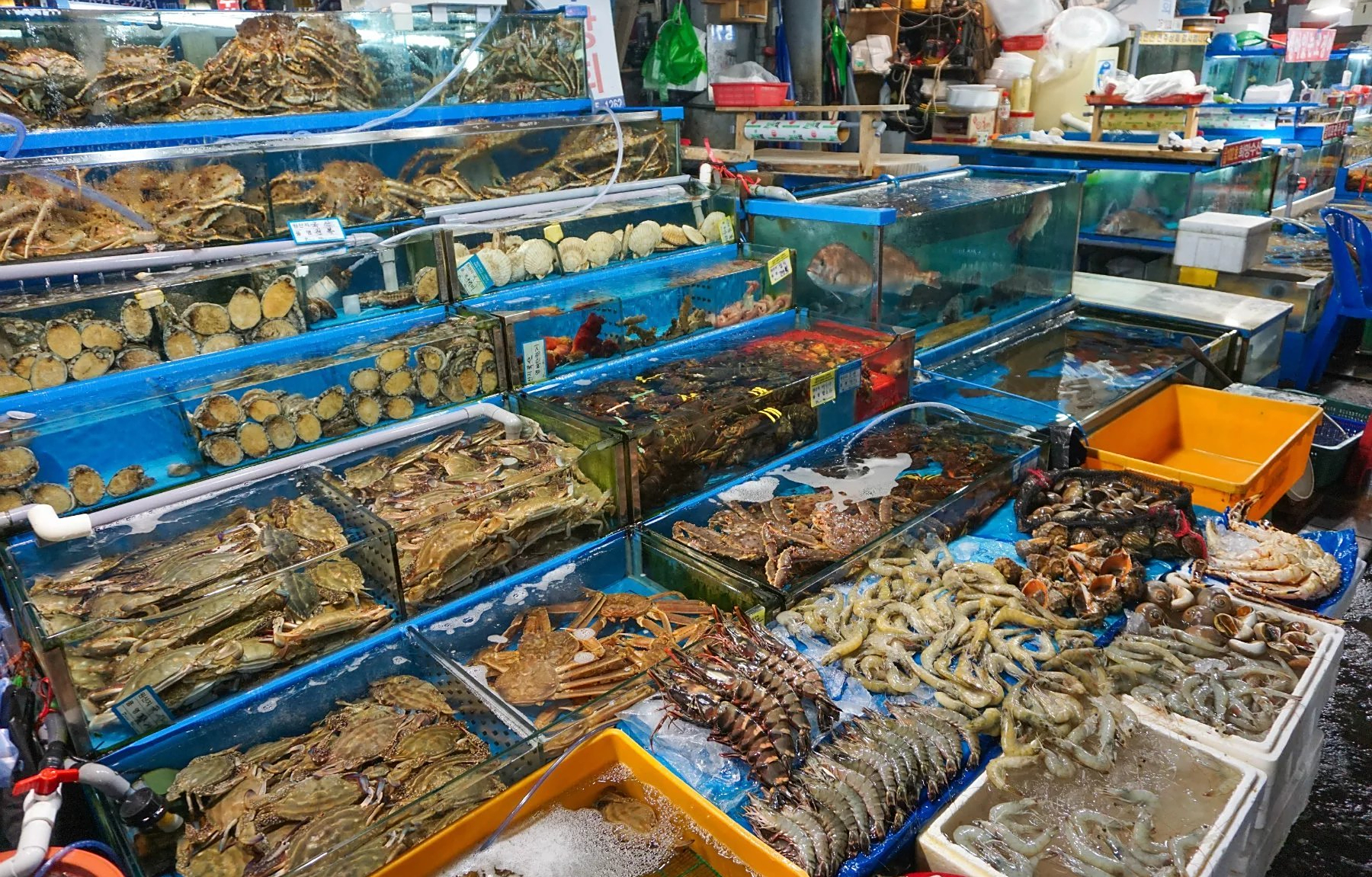 双福农贸城水产区"八两秤"问题得到了关注