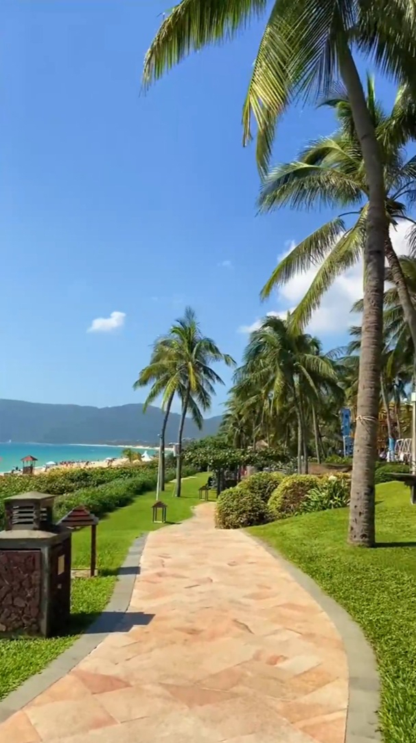 最美海岛椰风海韵带你去看海随手一拍都是美景