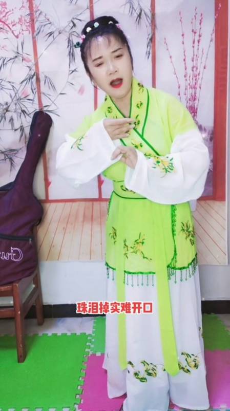 湖南花鼓戏反十字调经典戏曲欣赏名家名段欣赏