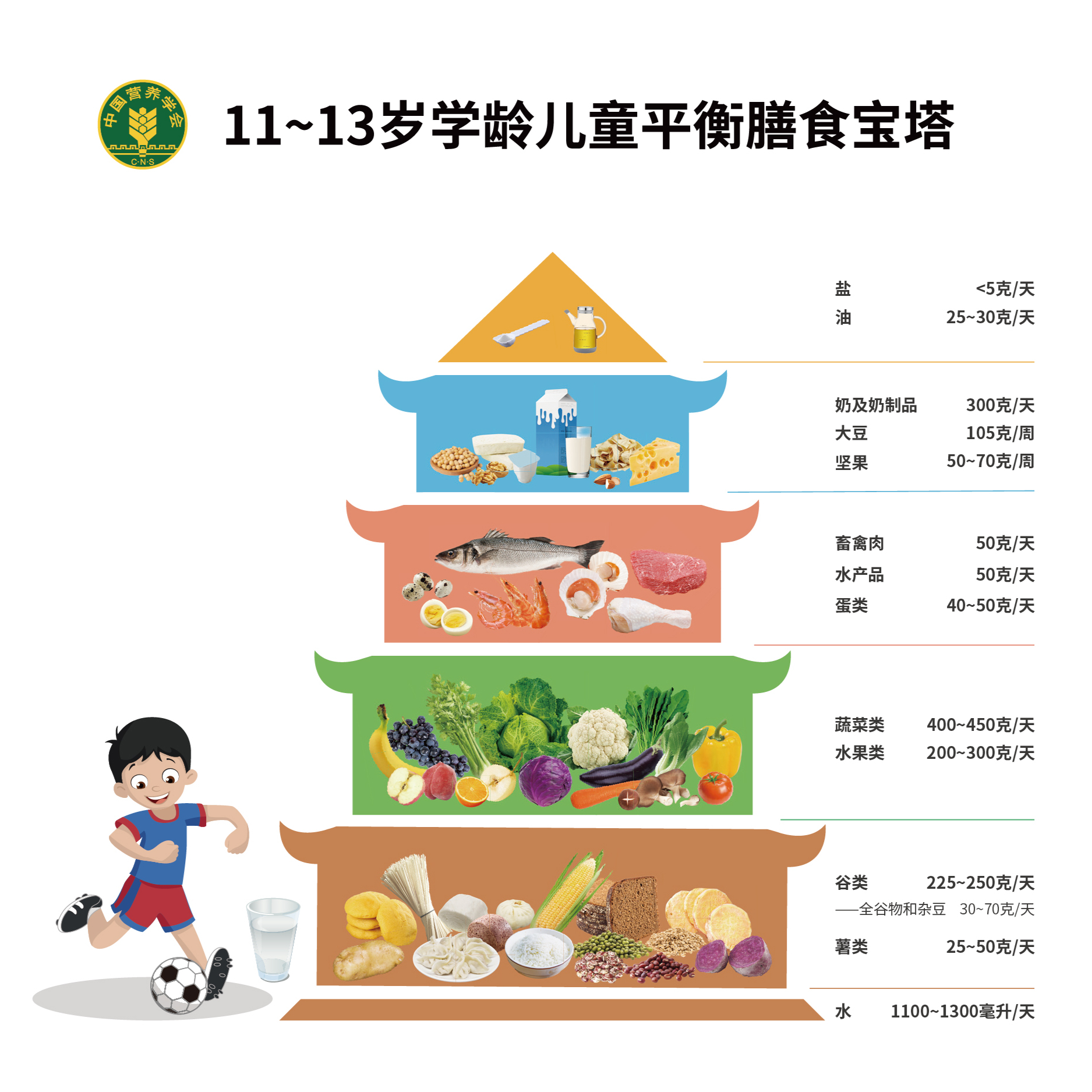 解析11~13岁学龄儿童平衡膳食宝塔(2022)