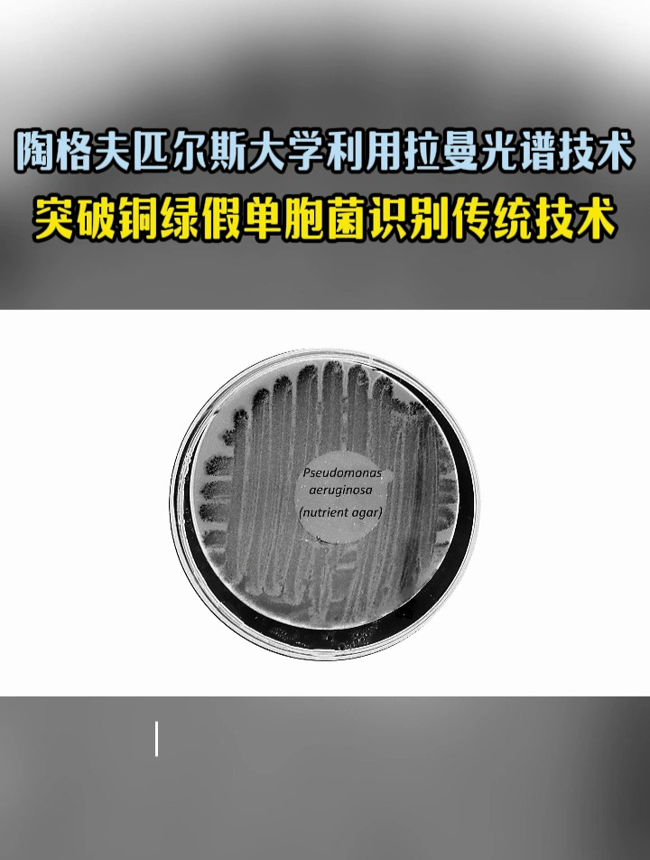 陶格夫匹爾斯大學利用拉曼光譜技術突破銅綠假單胞菌識別傳統技術