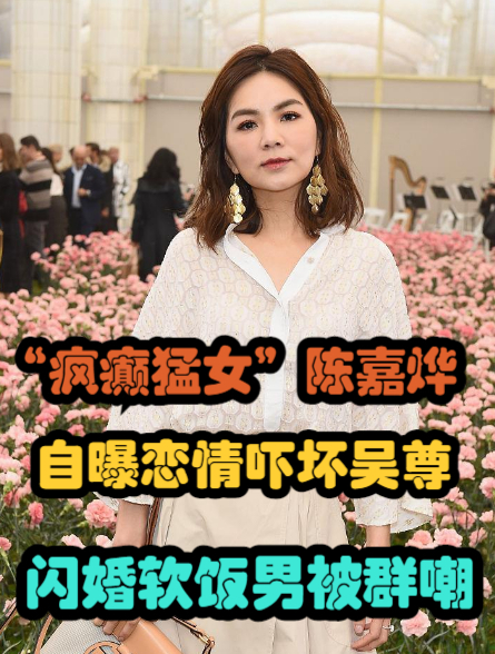 "疯癫猛女"陈嘉烨:自曝恋情吓坏吴尊,闪婚软饭男被群嘲2-度小视