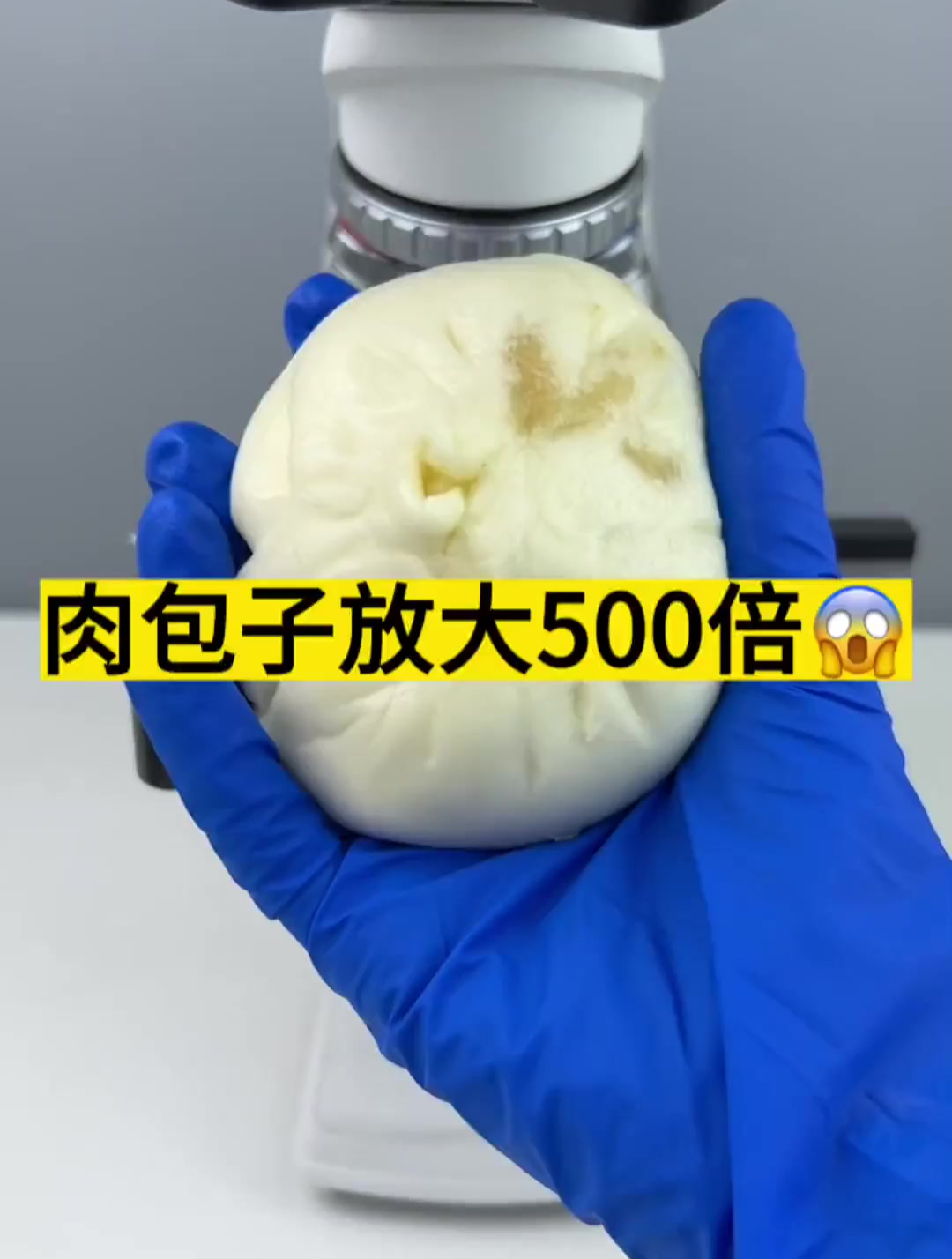 肉包子放大500倍真实画面,淋巴肉 肉包子-度小视