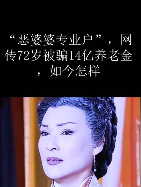 "恶婆婆专业户",网传72岁被骗14亿养老金,如今怎样-度小视