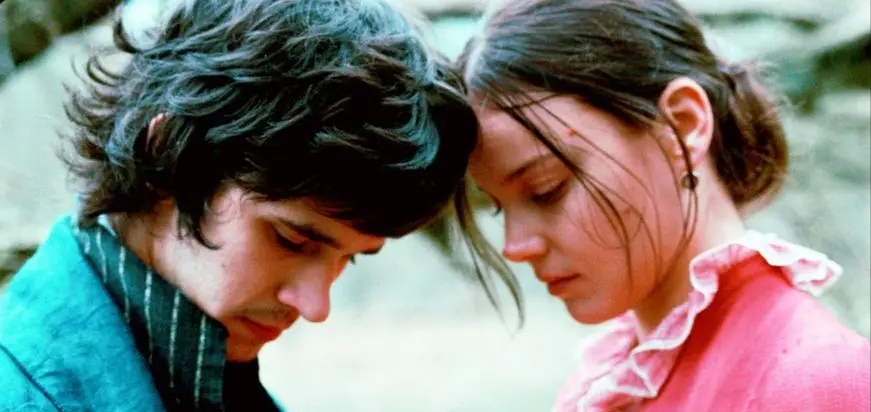 《明亮的星》中的美学表达与情感传递