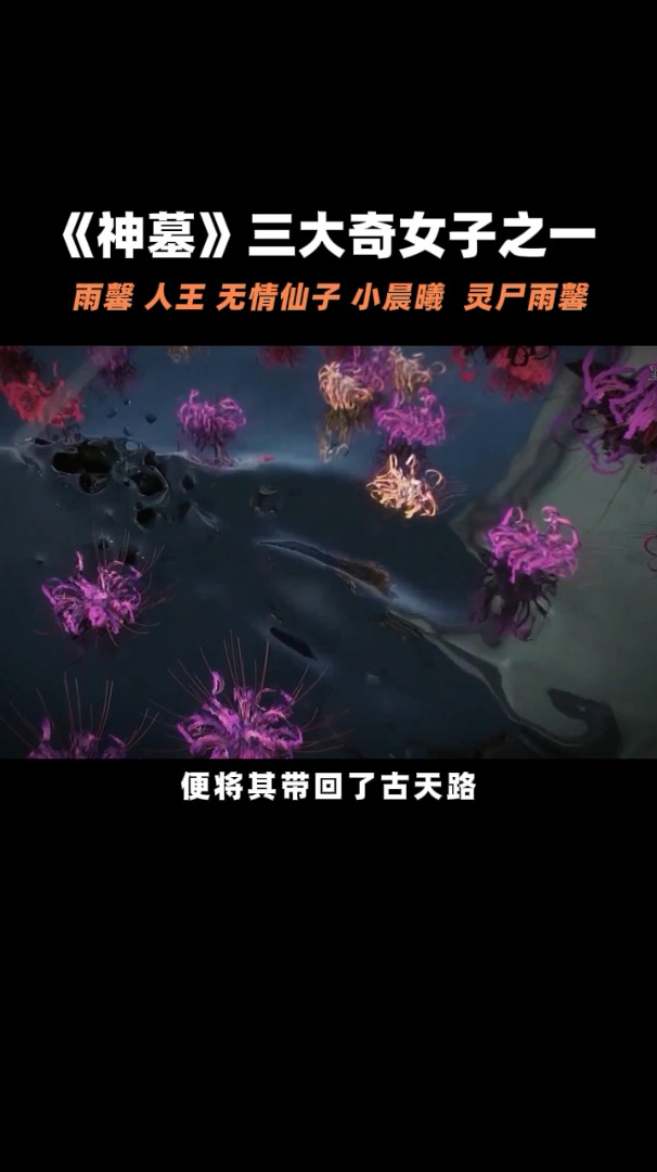 神墓小说中雨馨前世今生人王无情仙子灵尸王小晨曦精灵圣女