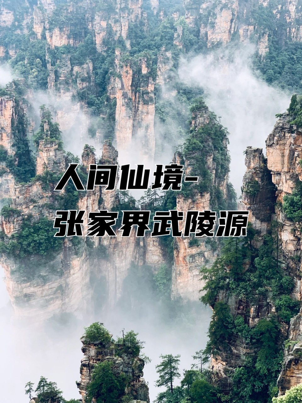 人间仙境-张家界武陵源 张家界武陵源-天子山景区,雨后仙境,西海峰林