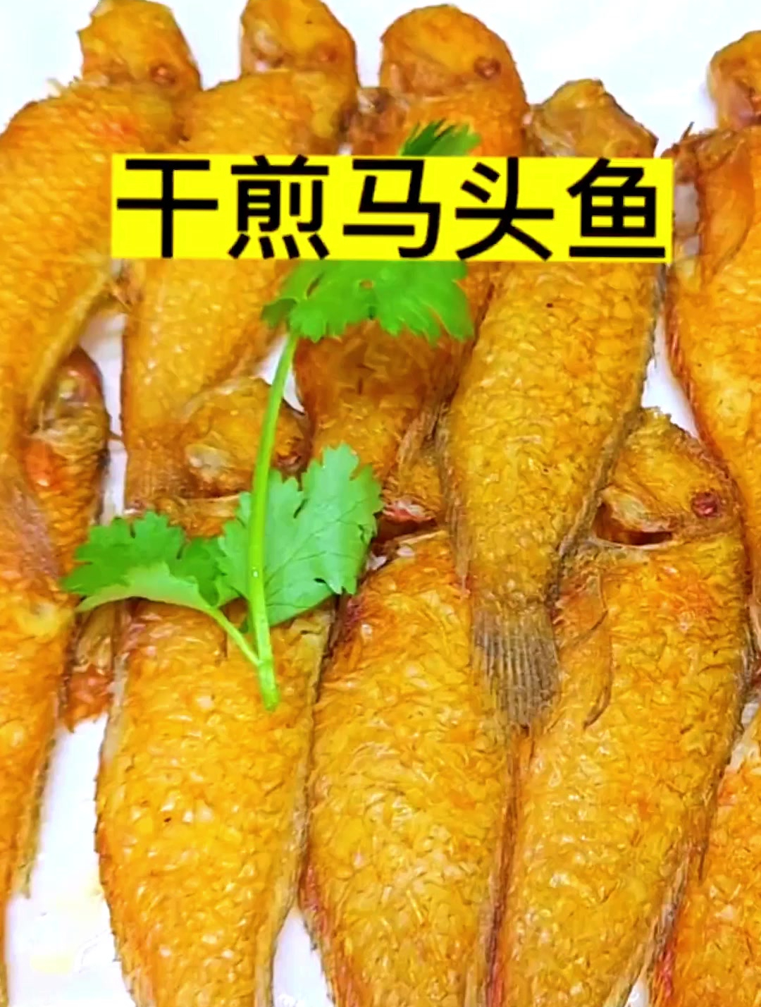 干煎马头鱼,配粥一流